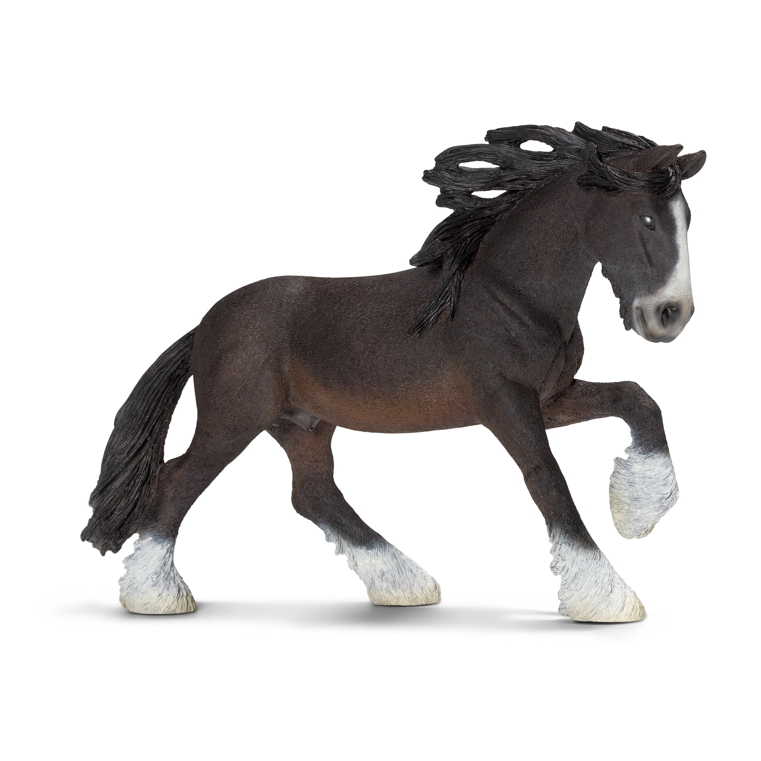 Shire Stallion Shire Stallion
