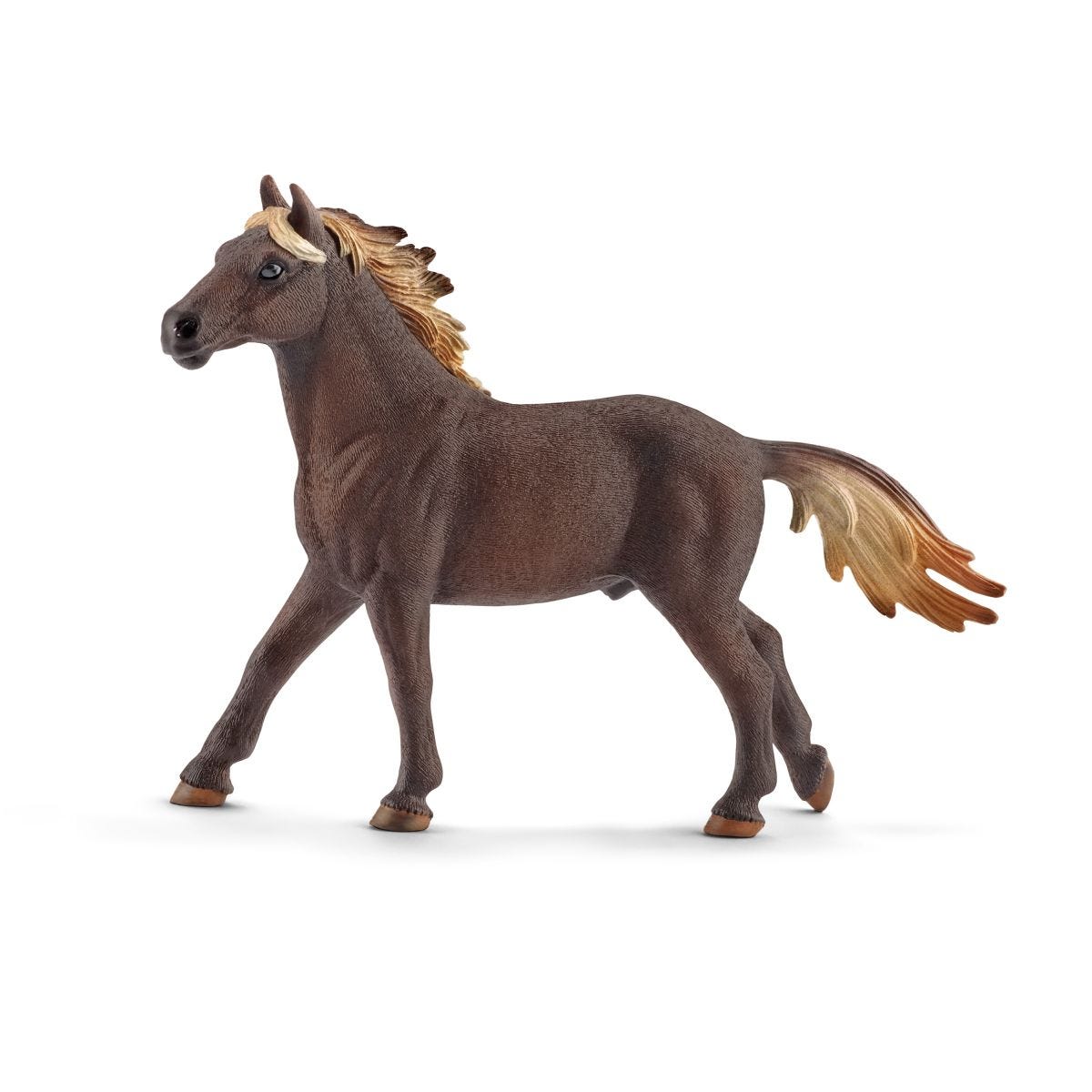 Semental mustang