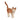 Gato
