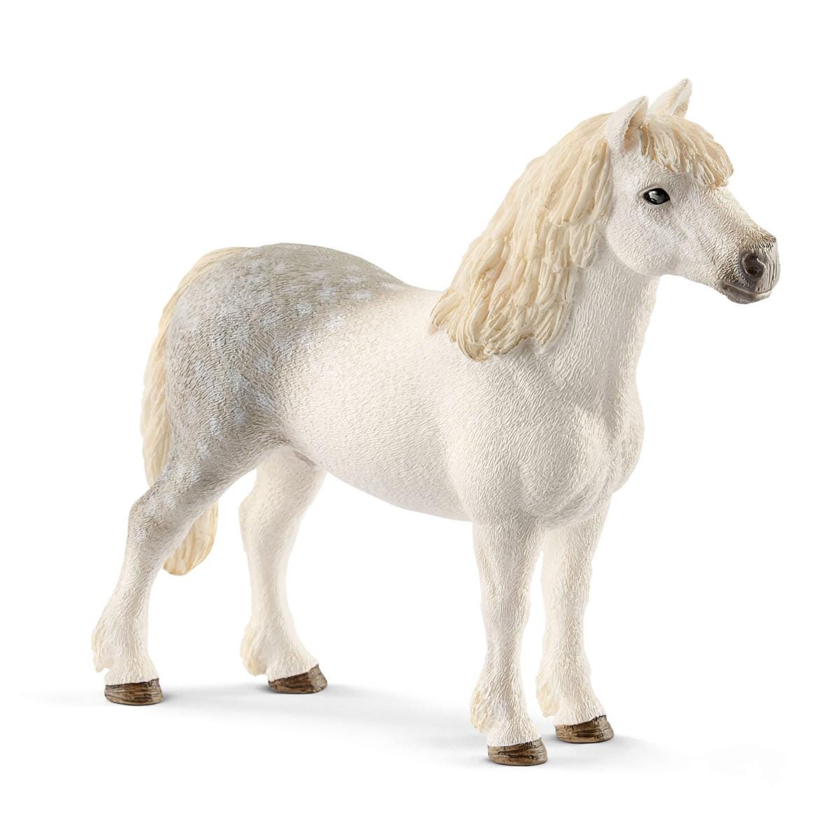 Semental poni galés