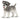 Schnauzer miniatura