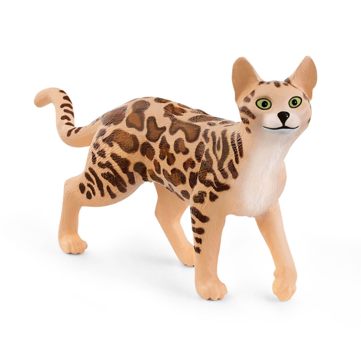 Gato de Bengala