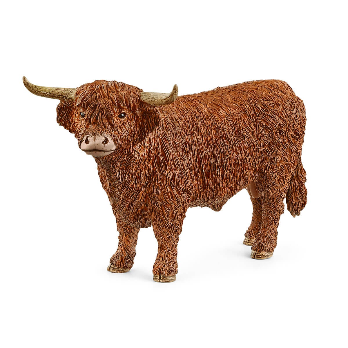 Vaca de las Tierras Altas