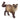 Gato ragdoll