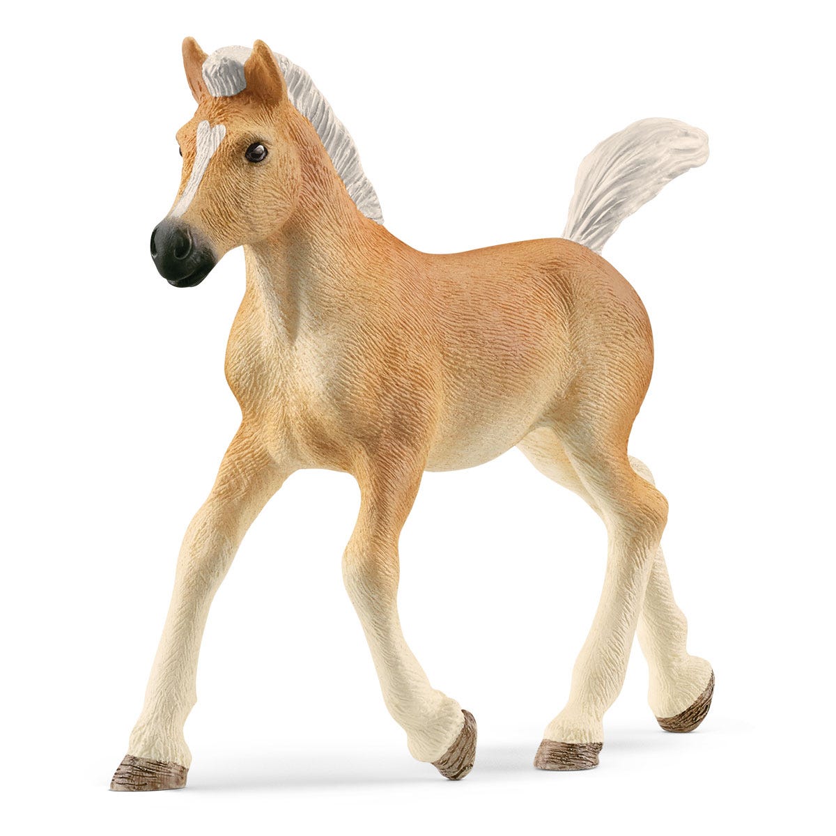 Potro Haflinger