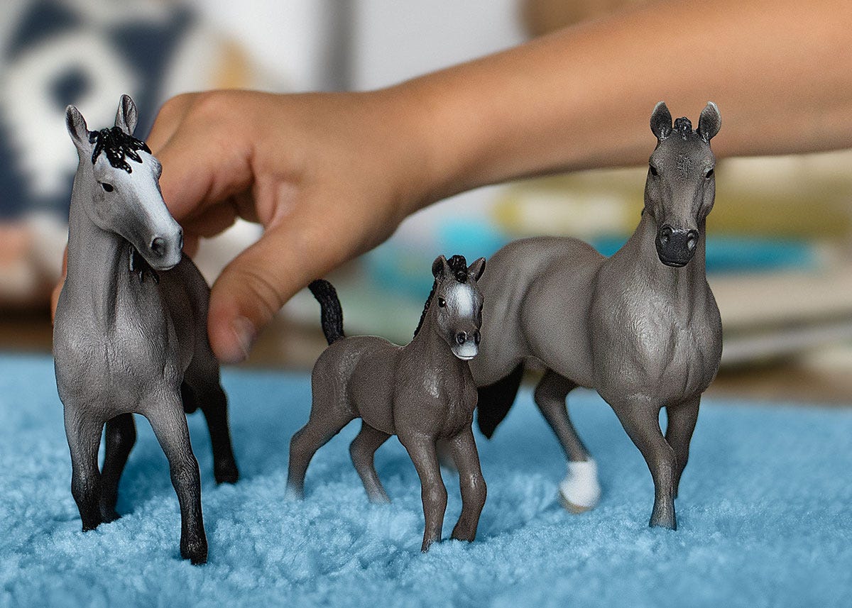 Semental Cheval de Selle Français