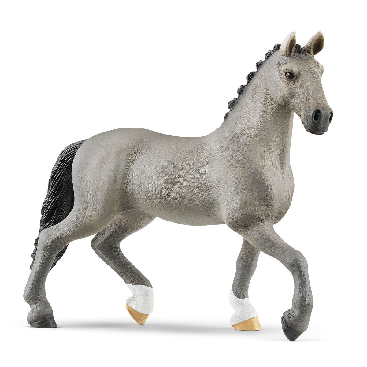 Semental Cheval de Selle Français