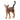 Gato abisinio