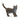 Gato británico de pelo corto