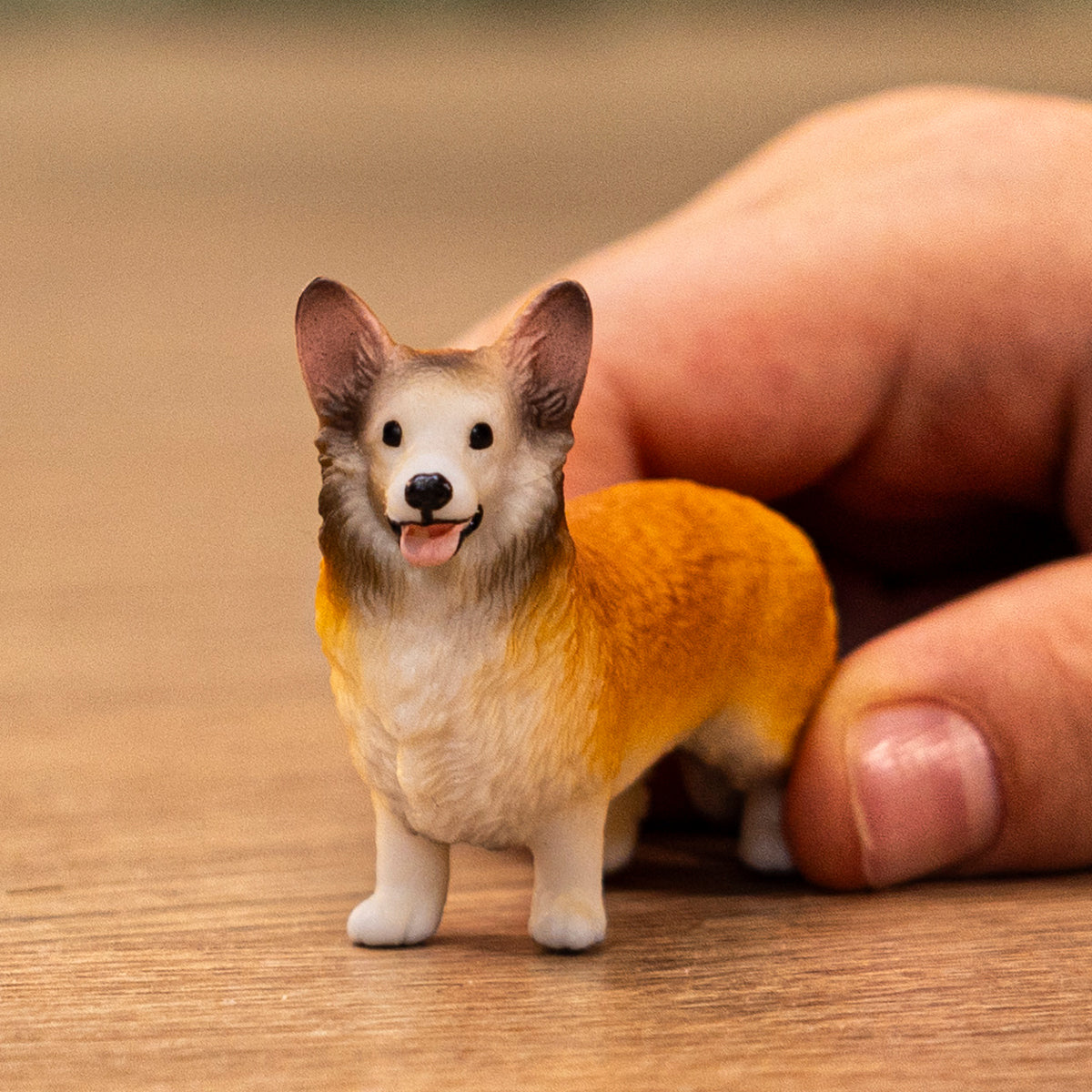 Corgi galés