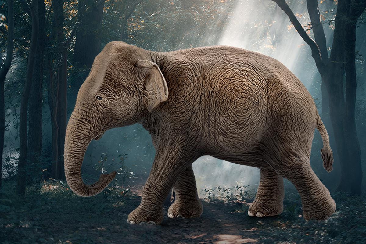 Elefante asiático hembra (bundle)