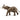 Elefante africano macho