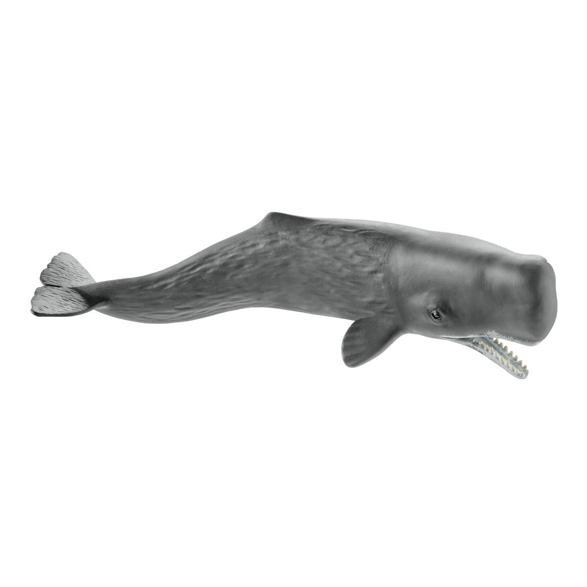 Sperm whale 14764 | schleich