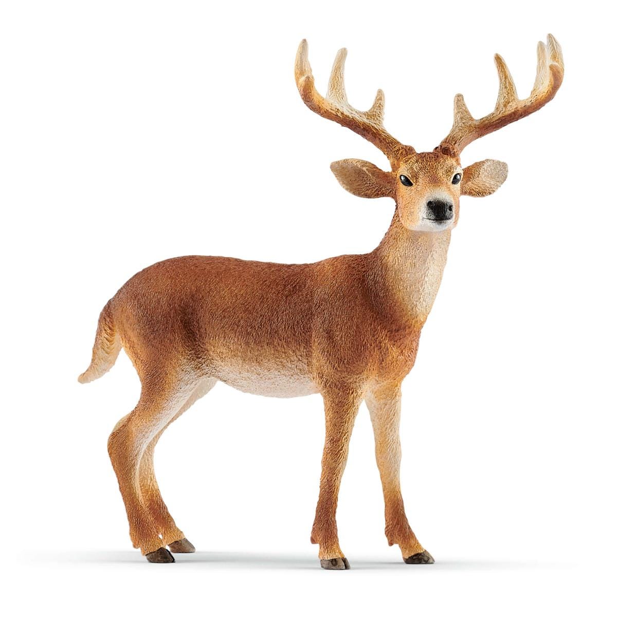 Figura Schleich Ciervo De Cola Blanca Macho 14818 – Juguete Realista De Animales Salvajes Para Niños +3 Años, 11x5x10 Cm
