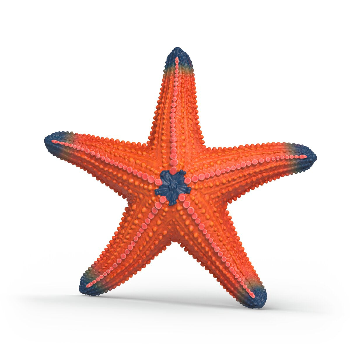 starfishカート Starfish with color change 14902 WILD LIFE | schleich