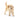 Cachorro Golden Retriever
