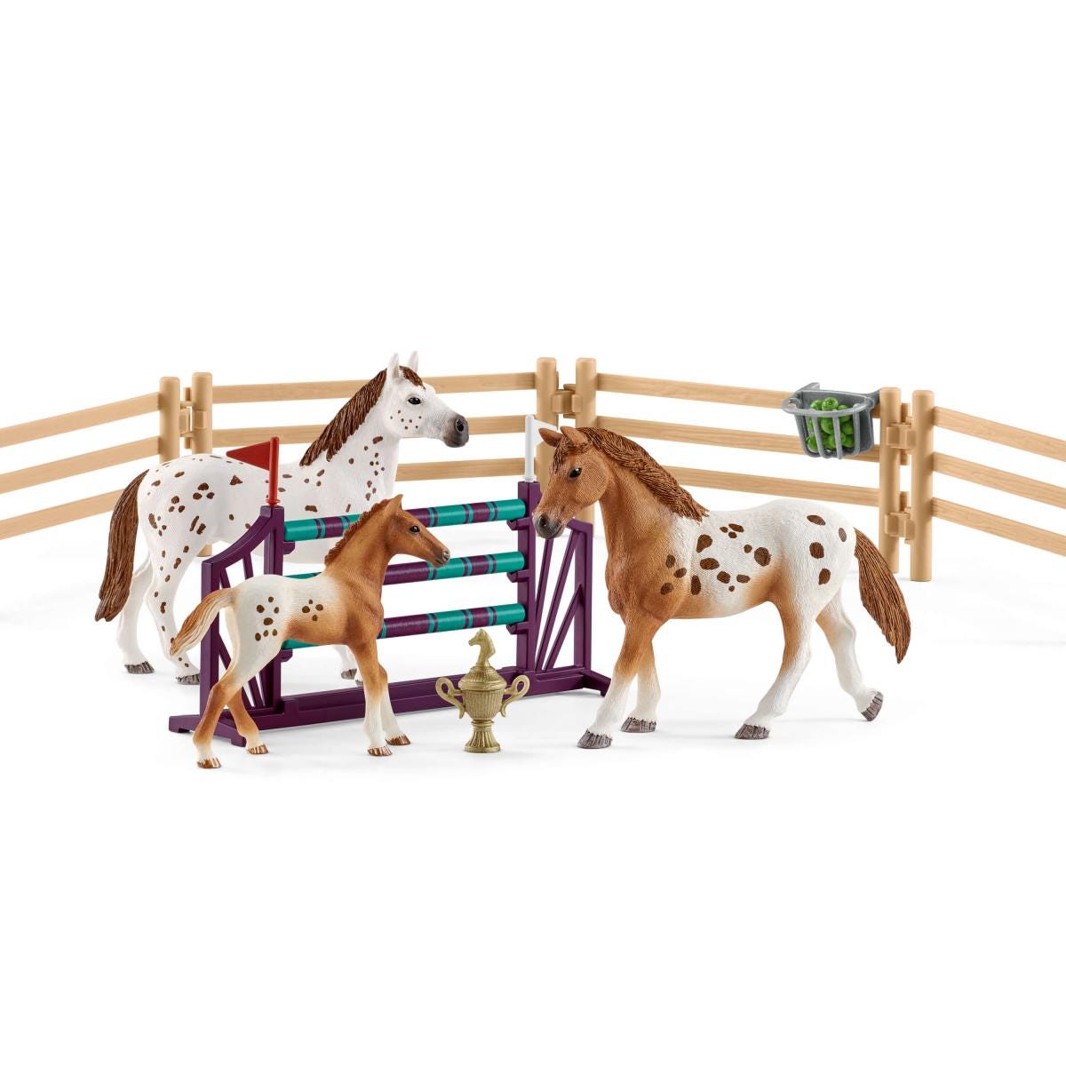 Set de entrenamiento para el concurso de HORSE CLUB Lisa