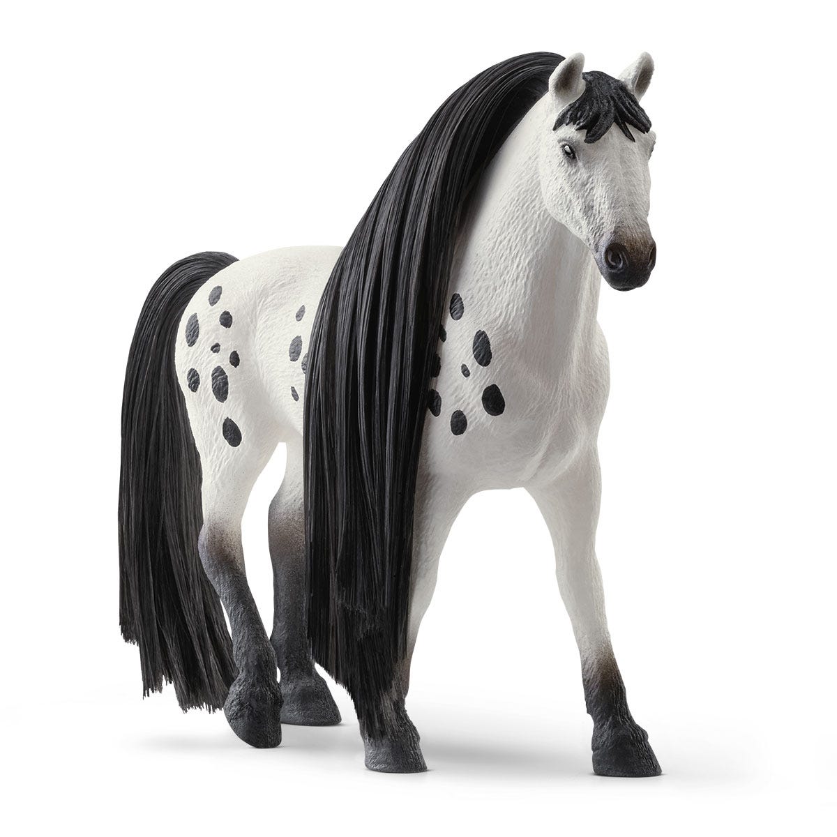 Semental Knabstrupper Beauty Horse