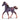 Unicornio de estrella fugaz, potro