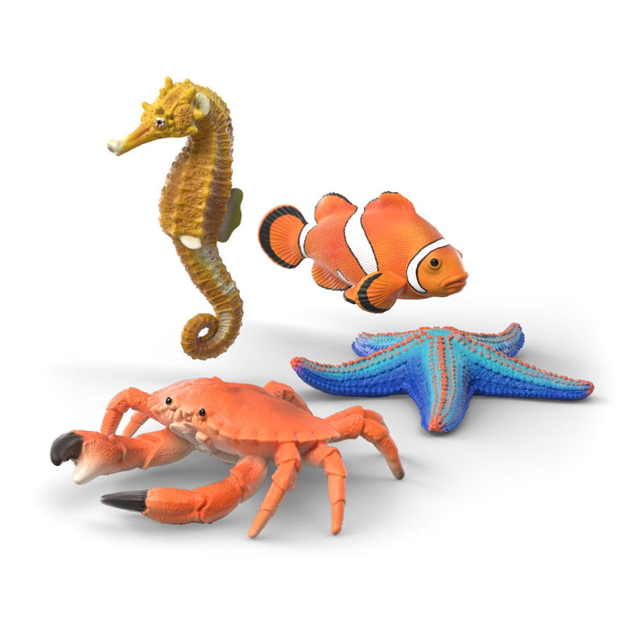 Set de exploradores de animales marinos