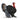 Pavo 