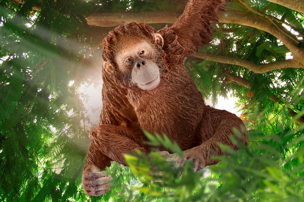 Orangutan, female 14775 WILD LIFE | schleich