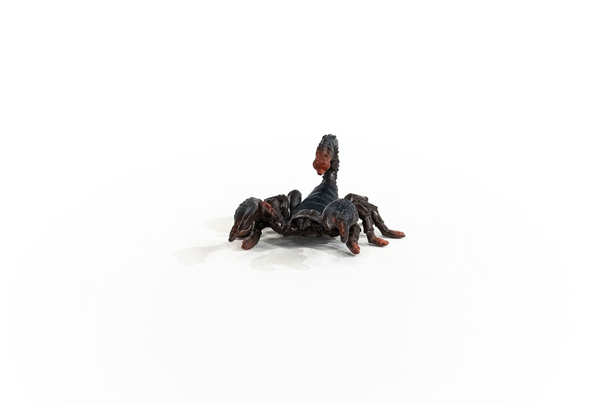 Compra SCHLEICH Wild Life Emperor Scorpion Figura de Juguete, 3 a 8 años, Multicolor (14857) al por mayor Compra SCHLEICH Wild Life Emperor Scorpion Figura de Juguete, 3 a 8 años, Multicolor (14857) al por mayor