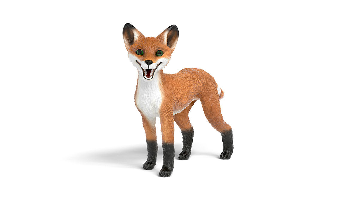 Rabbat the fox