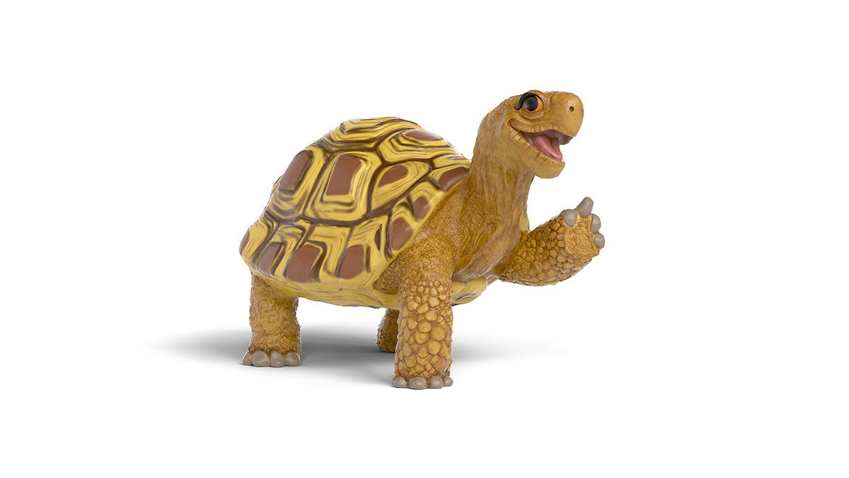 Henrietta the turtle