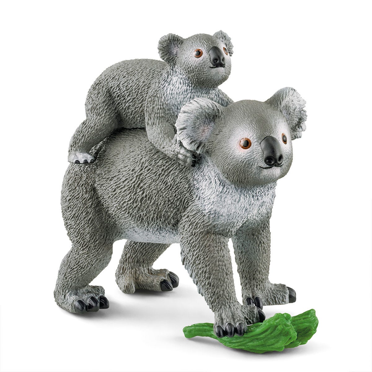 Koala con cría