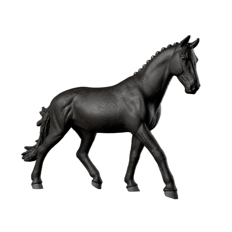 Sonata, Yegua Trakehner 1:12