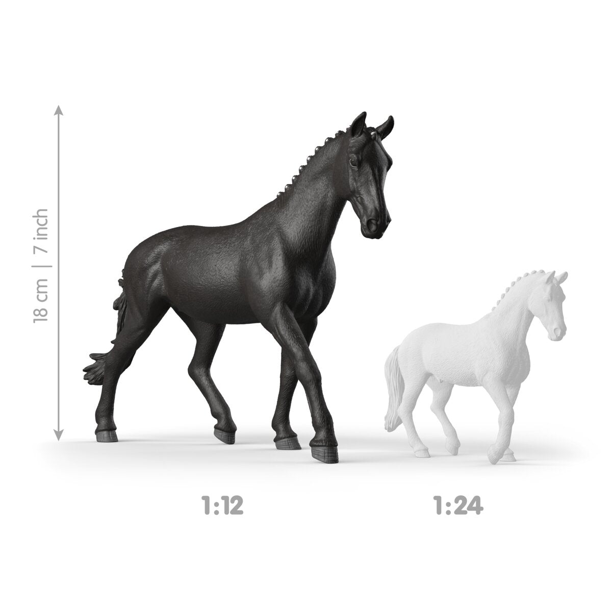 Sonata, Yegua Trakehner 1:12