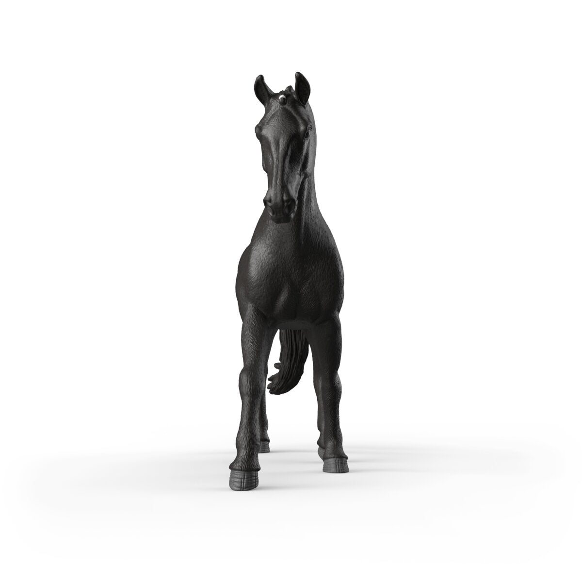 Sonata, Yegua Trakehner 1:12