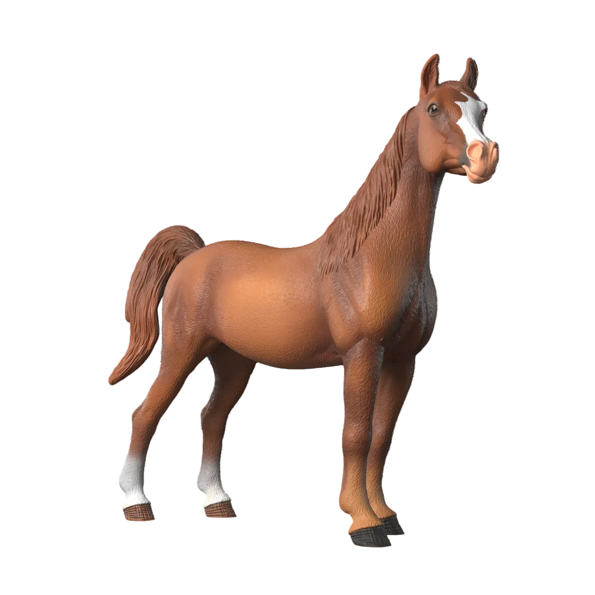 Amira, Arabian Mare 1:12