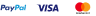 Primary Raster logo