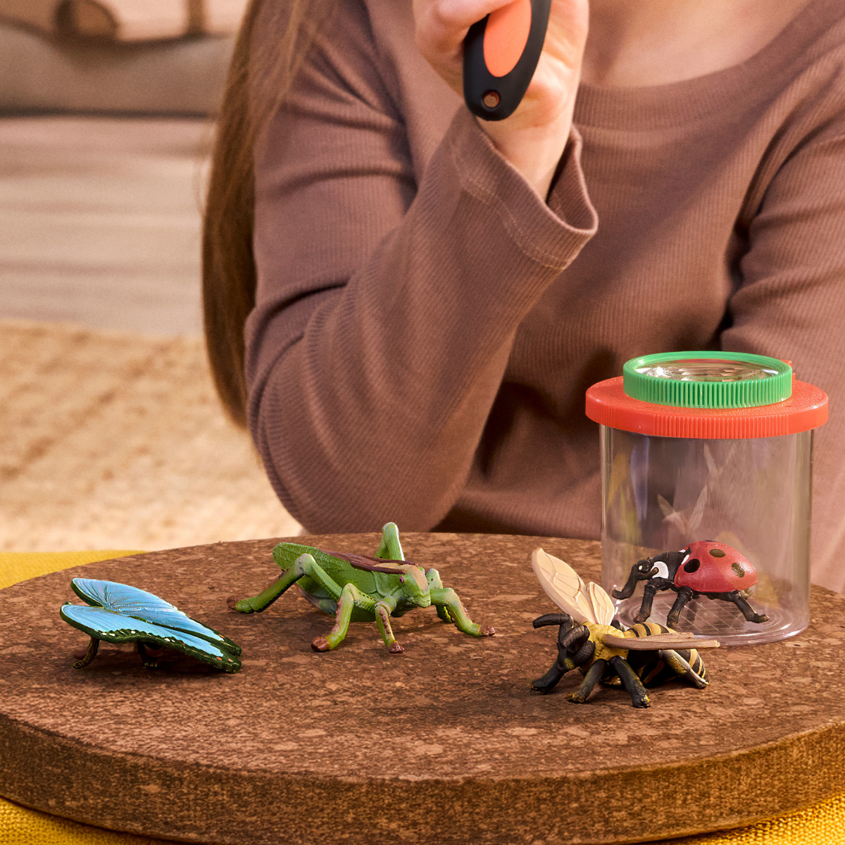 Set de exploradores de insectos