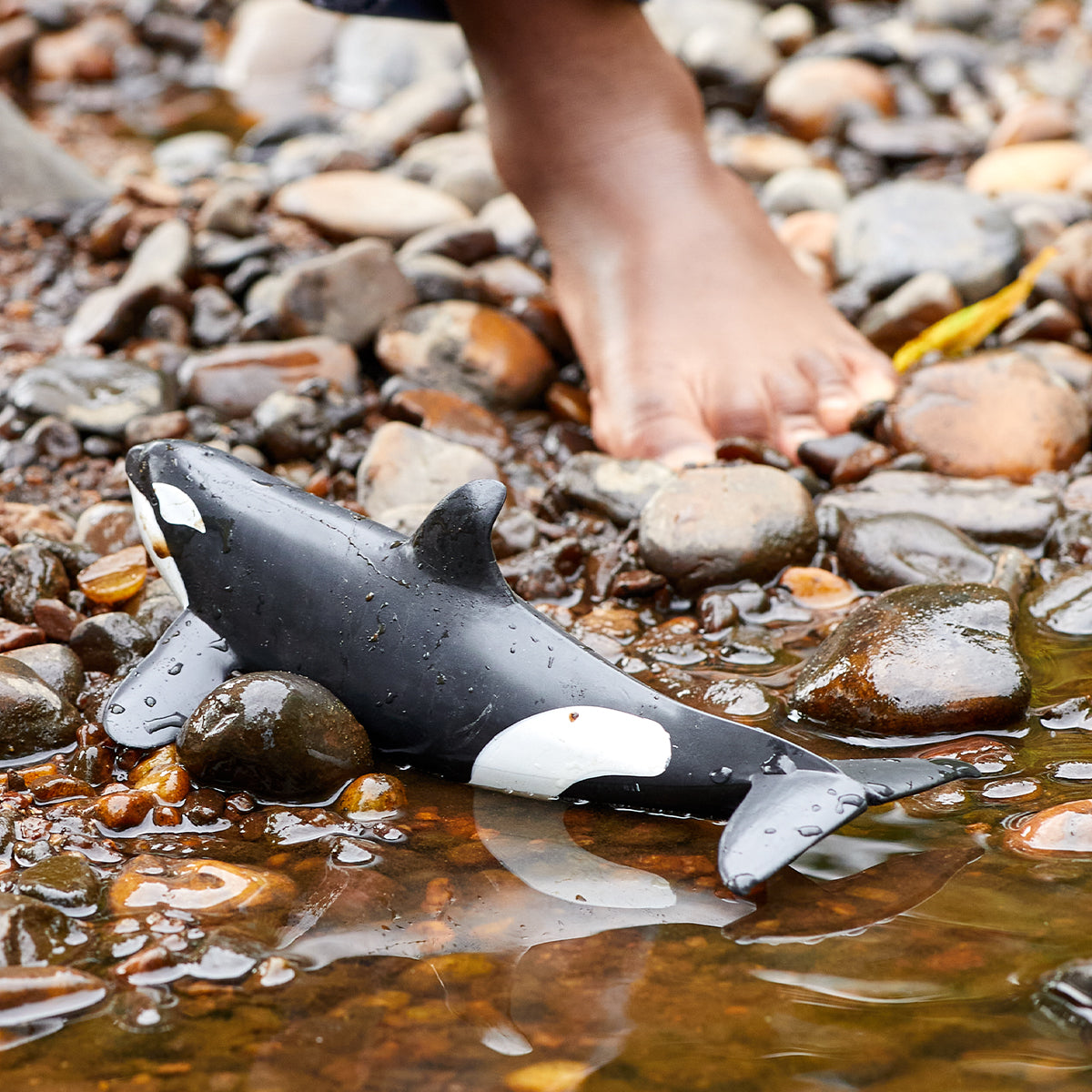 Killer Whale 14807 WILD LIFE | schleich